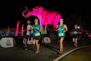 BIB: 
                            <button type="button" onclick="openModal(26534254)" class="btn btn-primary btn-sm float-right btn-popup" data-toggle="modal" data-target=".modal-high-quality">
                        <i class="fas fa-shopping-cart"></i> Add to Cart
                    </button>
                                            <button type="button" onclick="isThisMe(26534254, true)" class="btn btn-success btn-sm float-right btn-popup btn-isme hidden" data-toggle="tooltip" data-placement="bottom" title="นี่คือรูปของคุณใช่ไหม คลิกที่นี่เพื่อเอาเข้าอัลบั้ม">
                        <i class="fas fa-plus"></i> Add to album
                    </button>
                    <button type="button" onclick="isThisMe(26534254, false)" class="btn btn-warning btn-sm float-right btn-popup btn-isnotme hidden">
                        <i class="fas fa-ban"></i> Remove from album
                    </button>